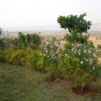 Beautiful Bungalow For Rent In Kamshet, Lonavala, Lonavala 5